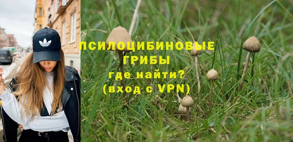 ECSTASY Алзамай