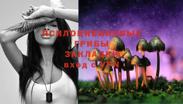 ECSTASY Алзамай