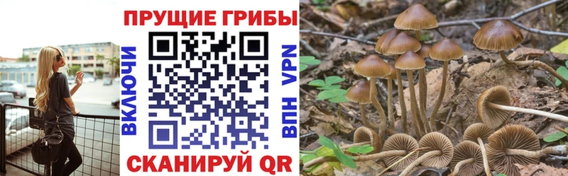 Галлюциногенные грибы мицелий  Ипатово 